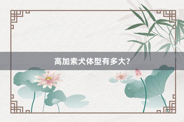 高加索犬体型有多大？