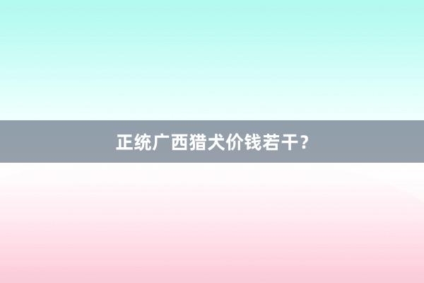 正统广西猎犬价钱若干？